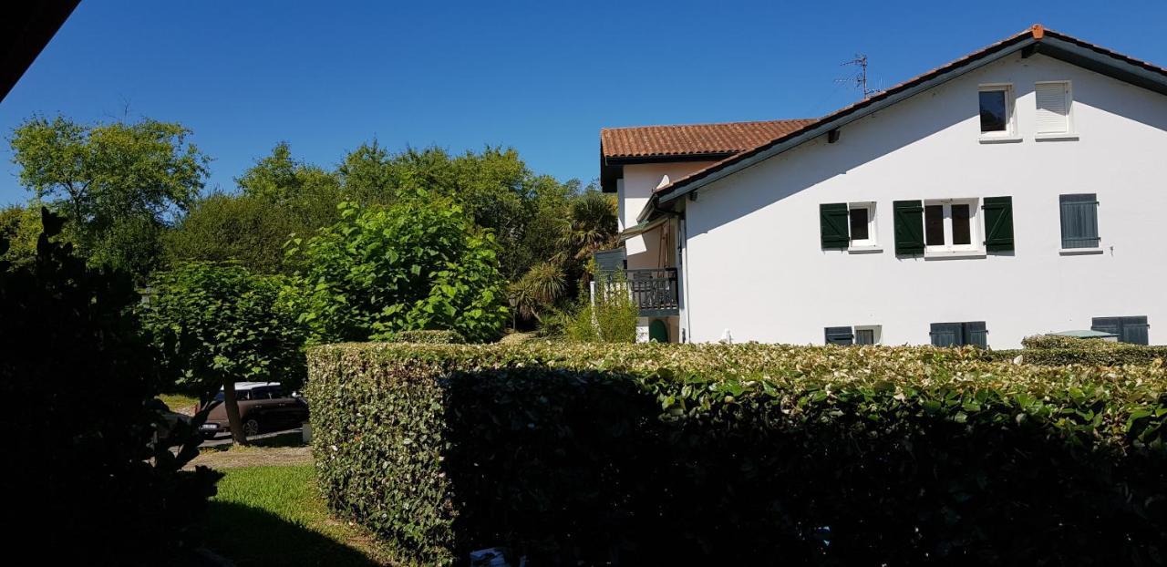 Guethary Appartement Plain Pied Proche Plage Cenitz Eksteriør billede